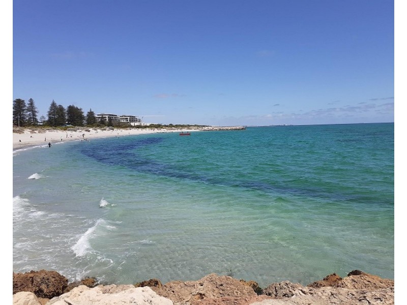 1 Douro Road, South Fremantle WA 6162