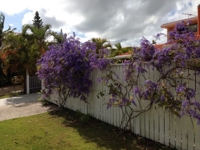Banksia Beach QLD 4507