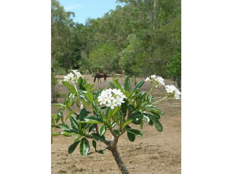 1081 Conway Road, Conway QLD 4800