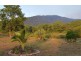1081 Conway Road, Conway QLD 4800