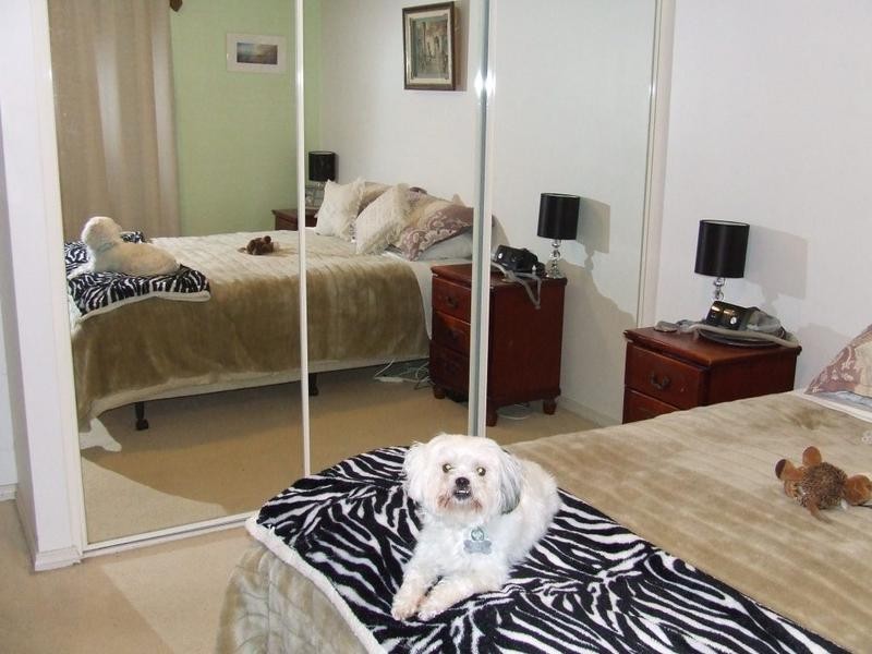 11 Bride Street, Mingenew WA 6522