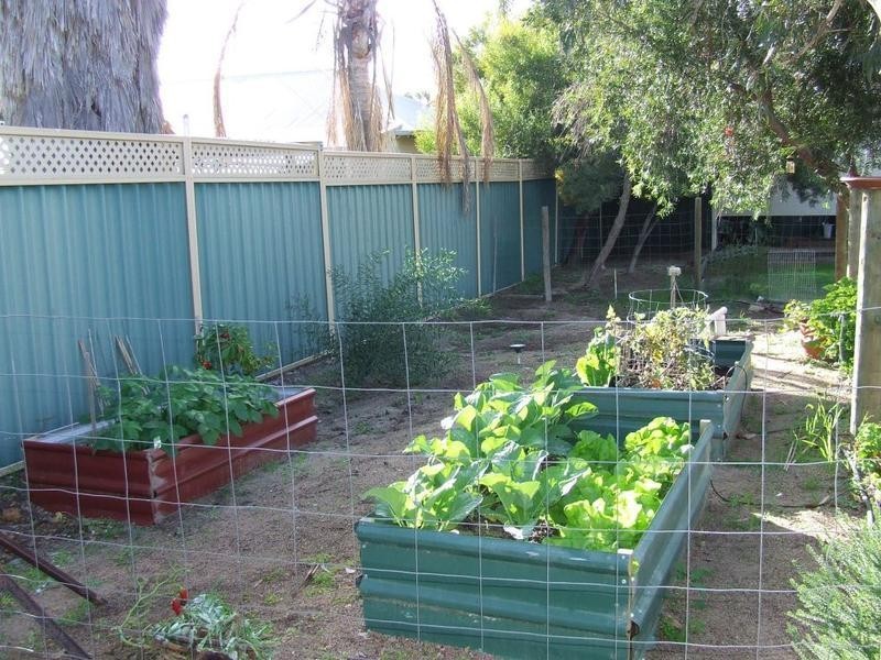 11 Bride Street, Mingenew WA 6522