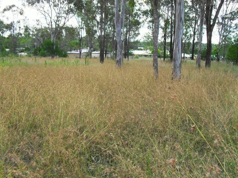 33 Home Street, Nanango QLD 4615