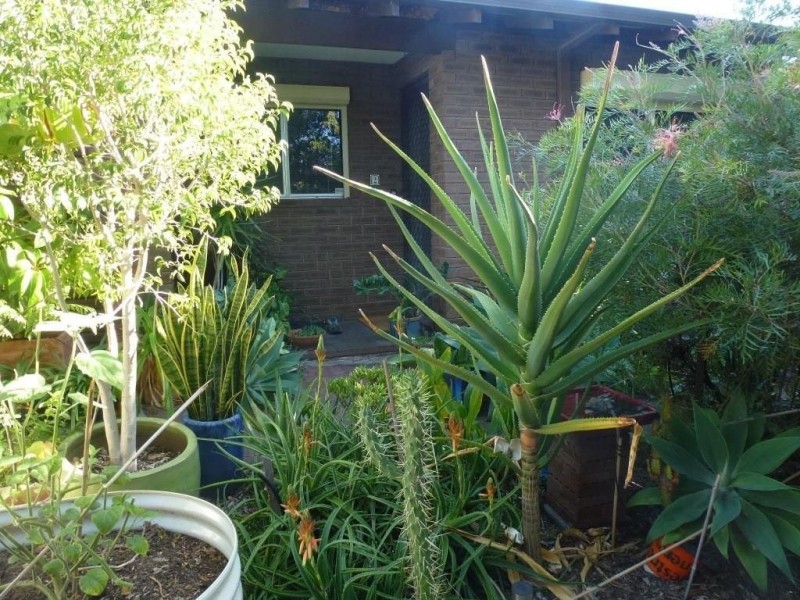 2/70 Ninth Avenue, Maylands WA 6051