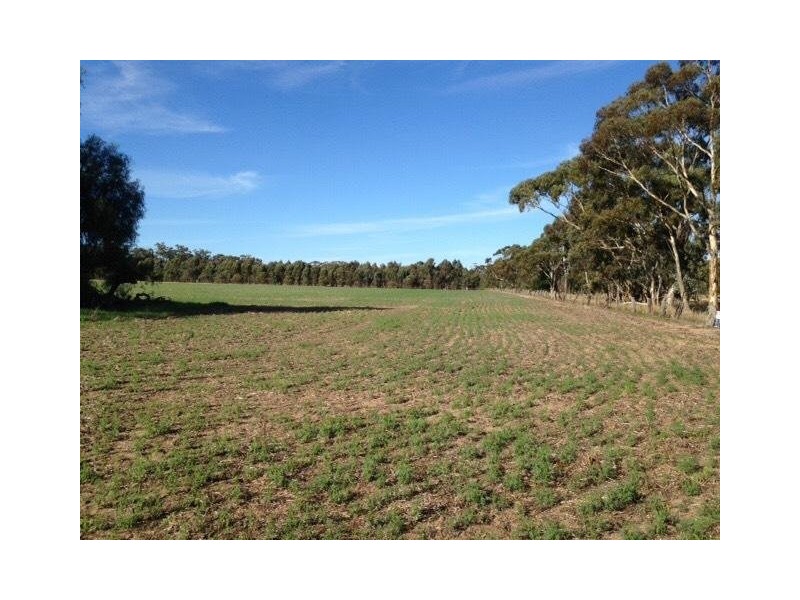 37 Patterson Road, Dimboola VIC 3414