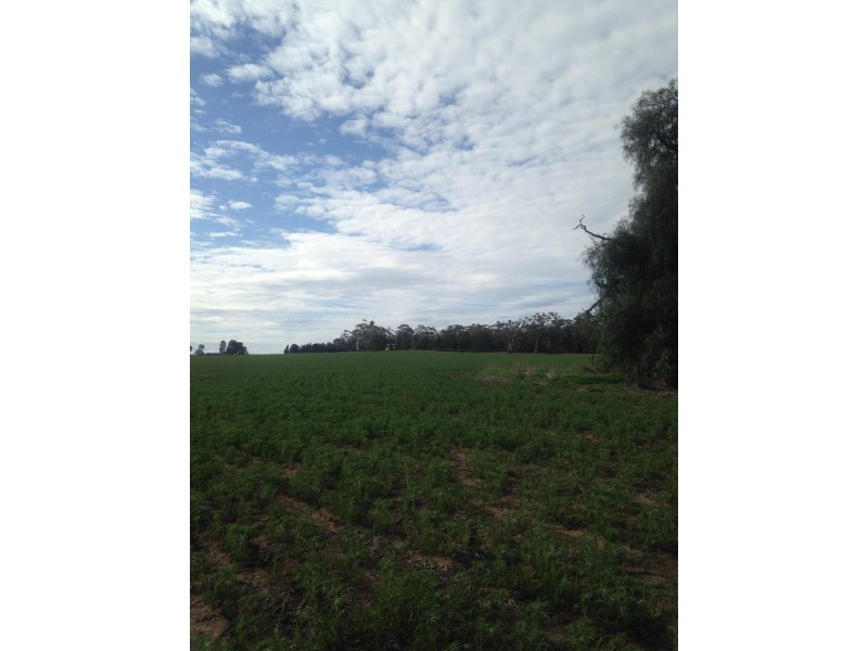 37 Patterson Road, Dimboola VIC 3414