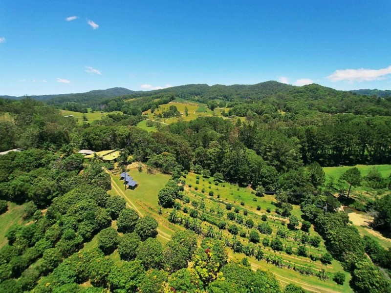 253 Palmvale Road, Palmvale NSW 2484