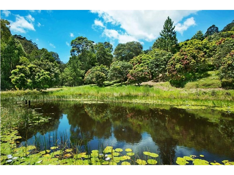 253 Palmvale Road, Palmvale NSW 2484