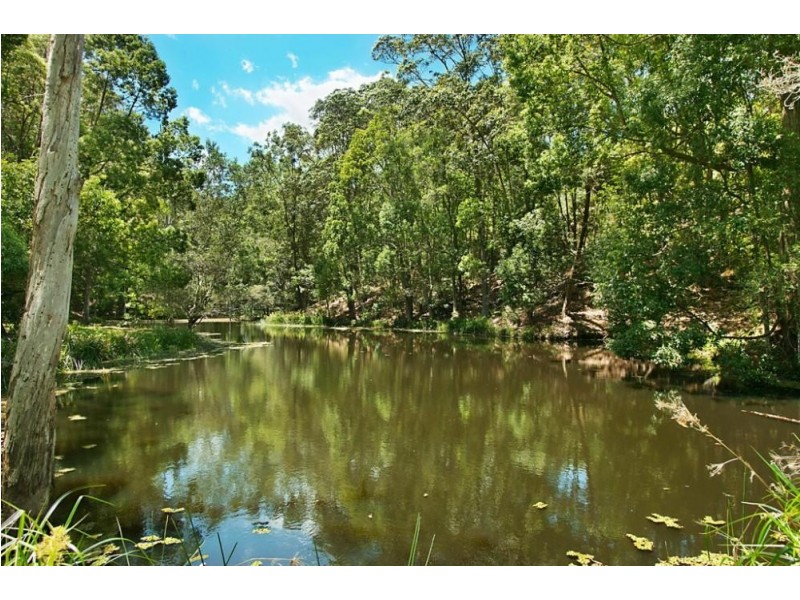 253 Palmvale Road, Palmvale NSW 2484