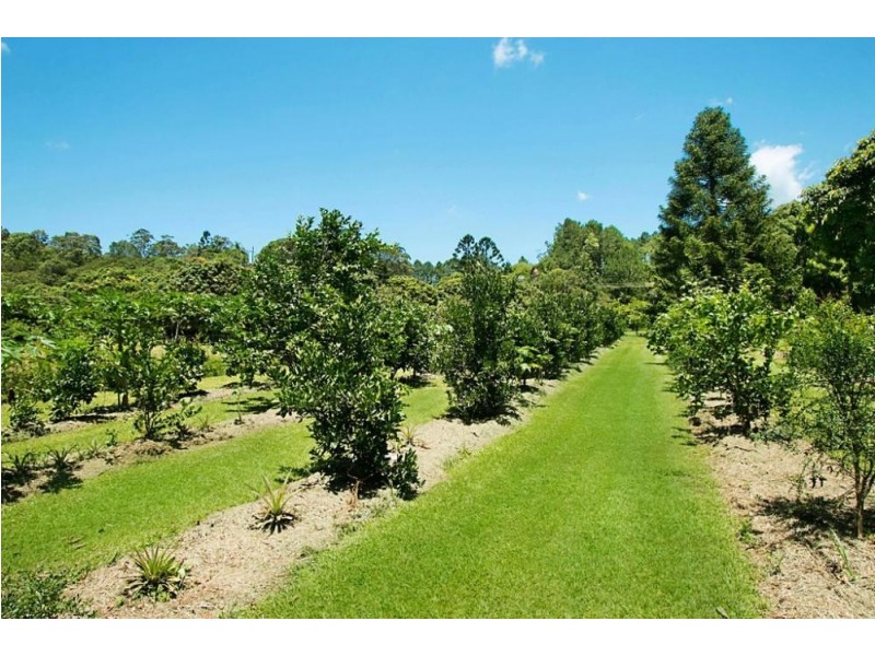 253 Palmvale Road, Palmvale NSW 2484