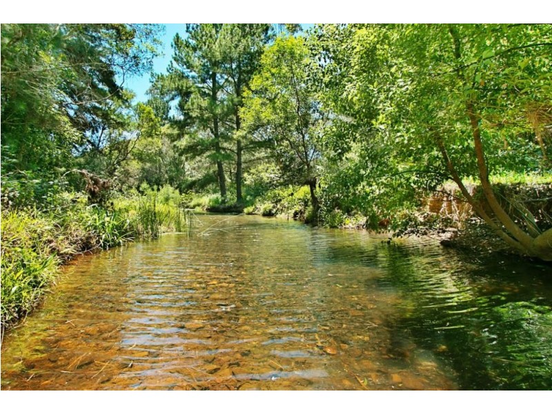 253 Palmvale Road, Palmvale NSW 2484