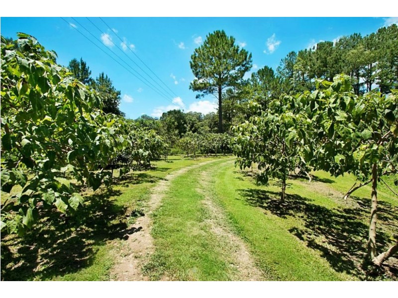 253 Palmvale Road, Palmvale NSW 2484