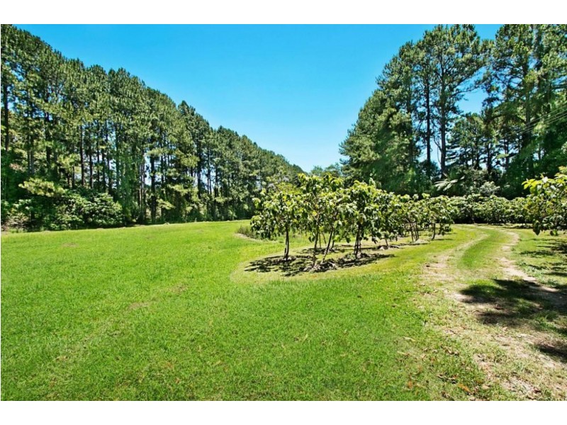 253 Palmvale Road, Palmvale NSW 2484