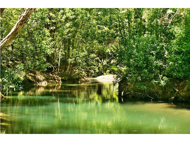 253 Palmvale Road, Palmvale NSW 2484