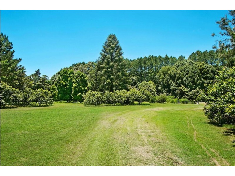 253 Palmvale Road, Palmvale NSW 2484