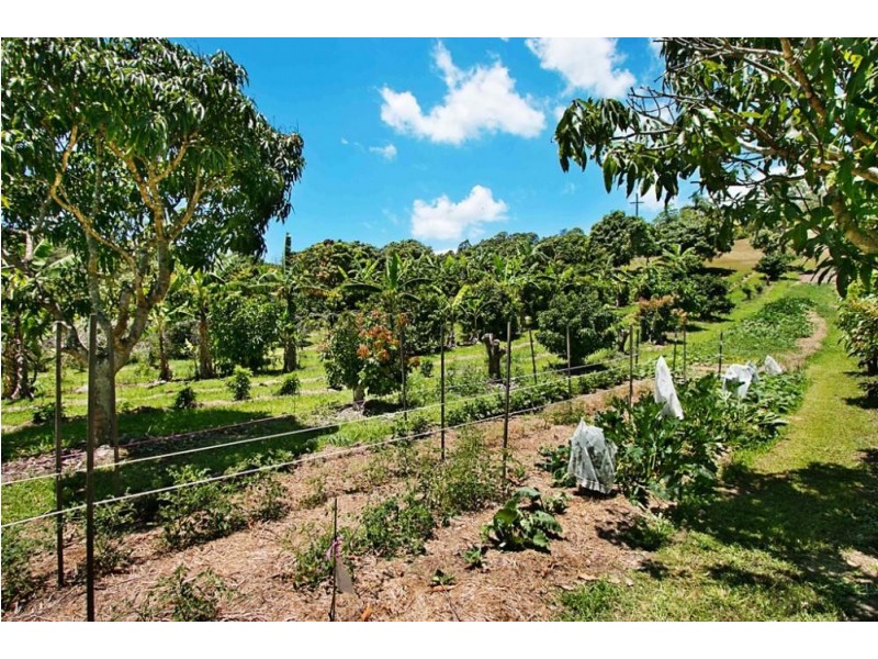 253 Palmvale Road, Palmvale NSW 2484