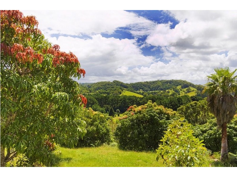 253 Palmvale Road, Palmvale NSW 2484