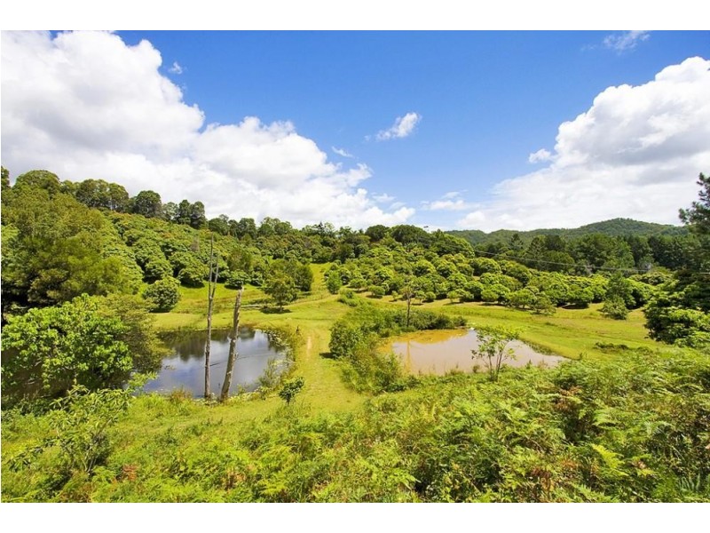 253 Palmvale Road, Palmvale NSW 2484