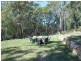 13 Bush Knoll Place, Mount Nathan QLD 4211