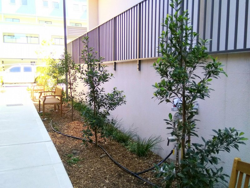 19/156 Botany Road, Alexandria NSW 2015