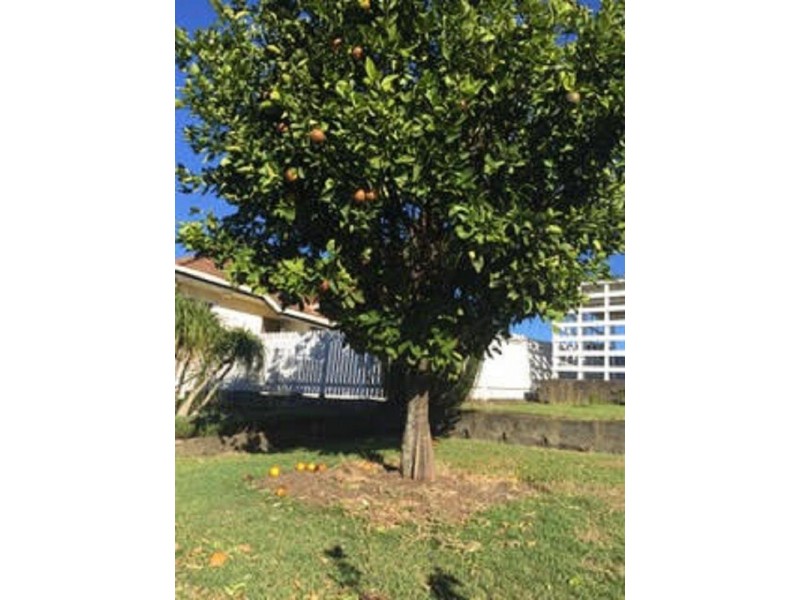 6 Goorama Street, Stafford QLD 4053