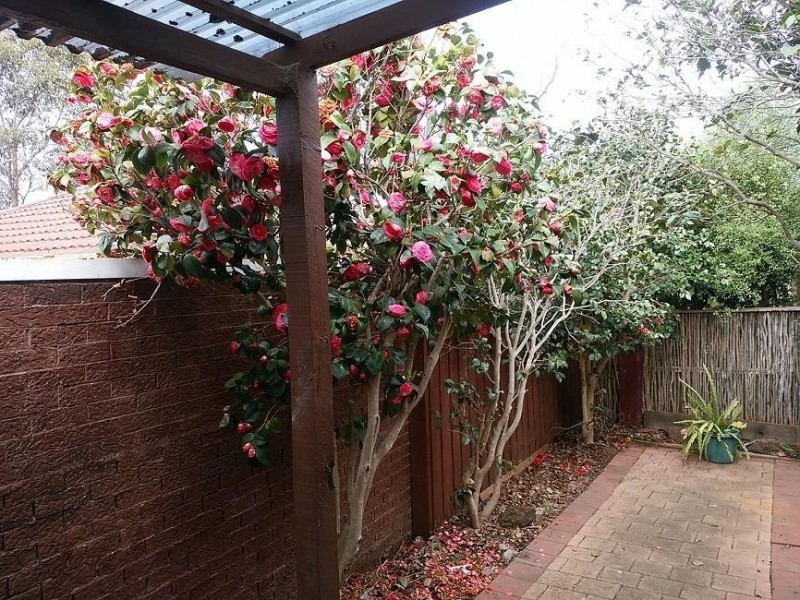 5/840 Toorak Road, Hawthorn East VIC 3123