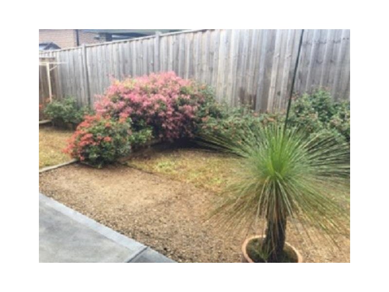 11 Besra Drive, Doreen VIC 3754