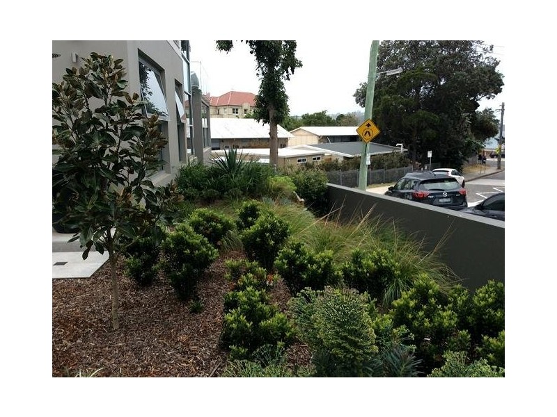 1/252 Raglan Street, Mosman NSW 2088