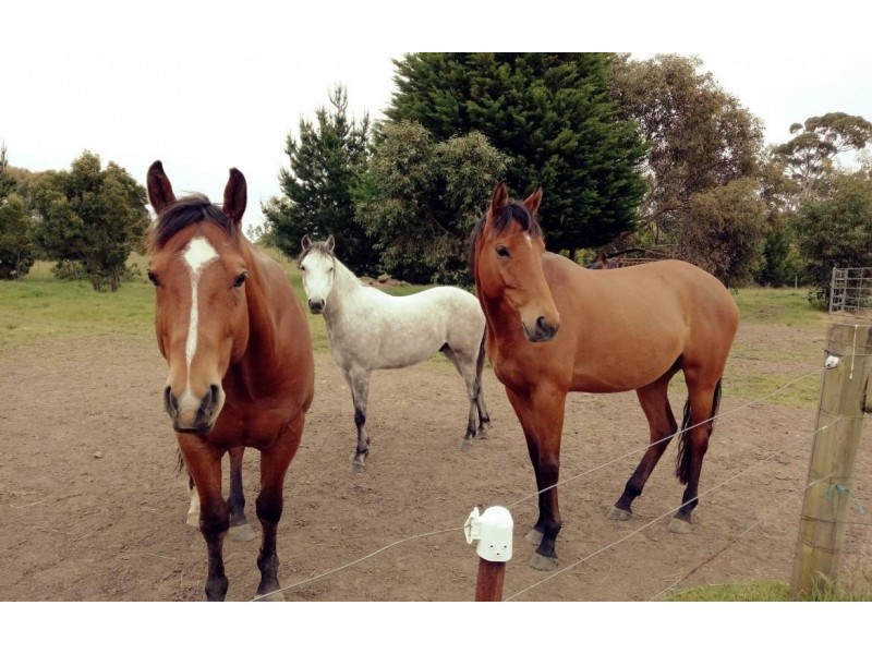 85 Portland Flat Road, Gordon VIC 3345