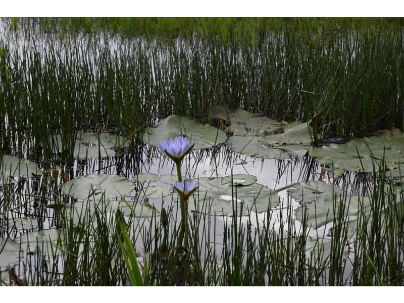 220 Old Ferry Road, Ashby NSW 2463