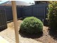 41 Majestic Drive, Mount Barker SA 5251