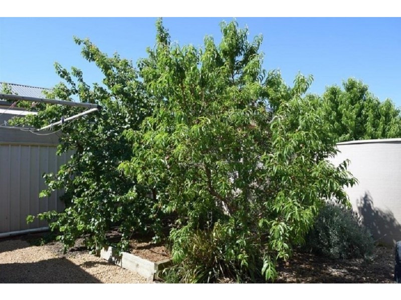 52 Strathmont Drive, Strathalbyn SA 5255