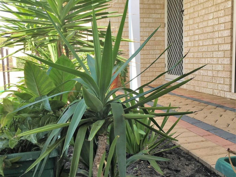 2 Auburn Close, Marangaroo WA 6064