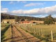 652 Cutting Grass Road, Levendale TAS 7120