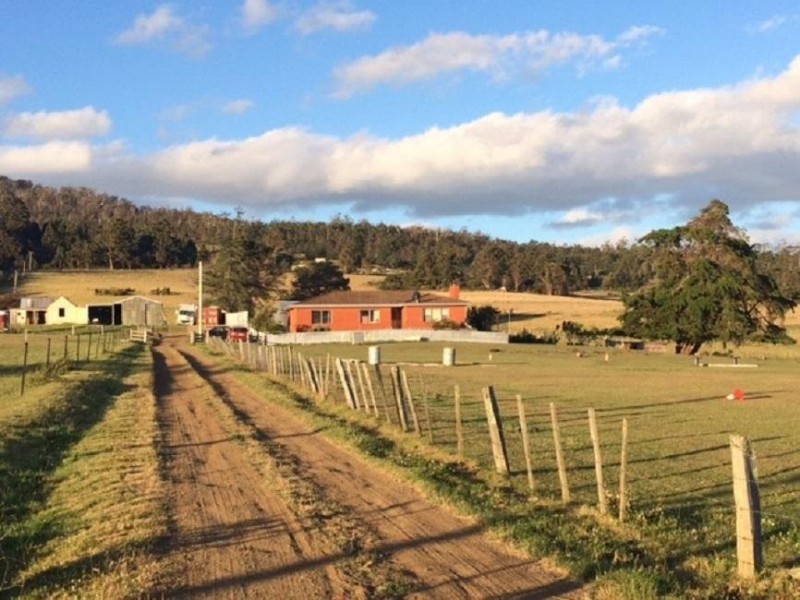 652 Cutting Grass Road, Levendale TAS 7120