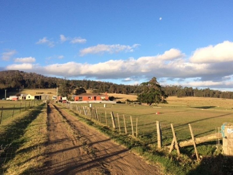 652 Cutting Grass Road, Levendale TAS 7120