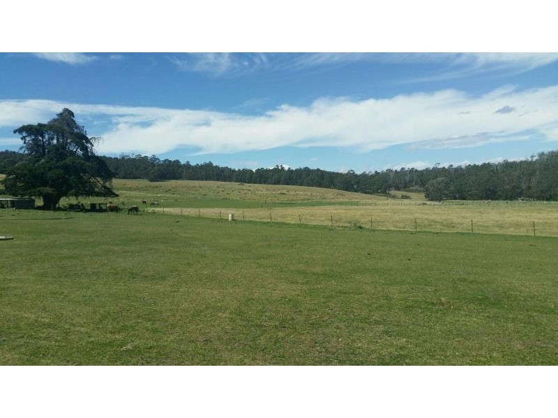 652 Cutting Grass Road, Levendale TAS 7120