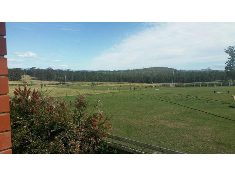 652 Cutting Grass Road, Levendale TAS 7120