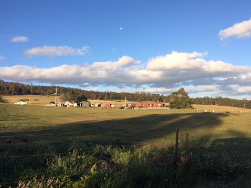 652 Cutting Grass Road, Levendale TAS 7120
