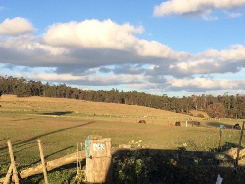 652 Cutting Grass Road, Levendale TAS 7120
