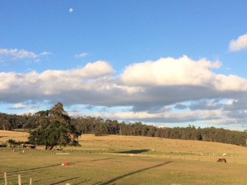 652 Cutting Grass Road, Levendale TAS 7120