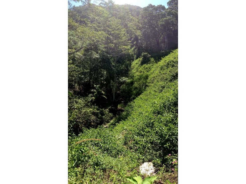 350 Blindmouth Road, Main Arm NSW 2482