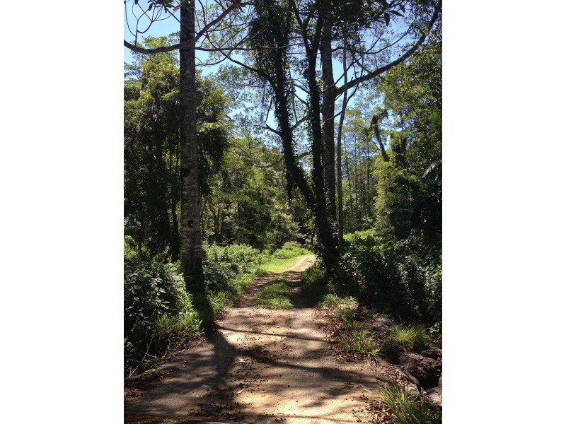 350 Blindmouth Road, Main Arm NSW 2482