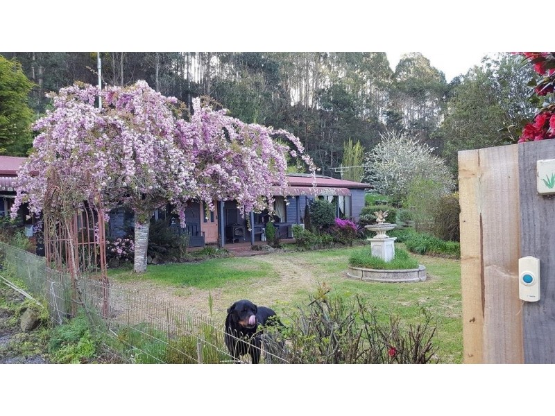 2884 Wilmot Road, Wilmot TAS 7310