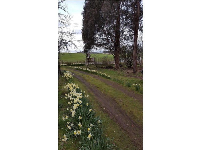 2884 Wilmot Road, Wilmot TAS 7310