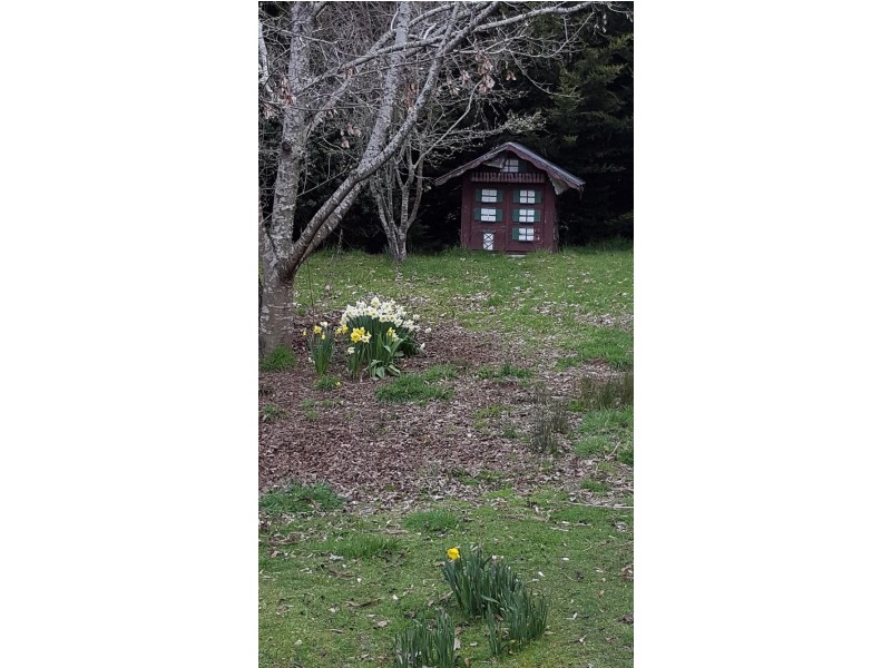 2884 Wilmot Road, Wilmot TAS 7310