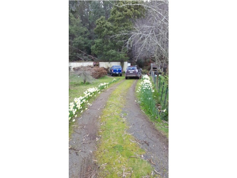 2884 Wilmot Road, Wilmot TAS 7310