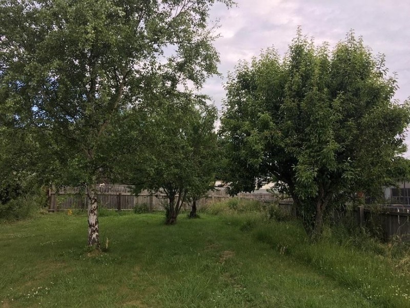 5 Forth Street, Latrobe TAS 7307