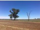 Coolamon NSW 2701