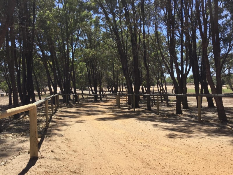 1 Sheoak Road, Springfield WA 6525